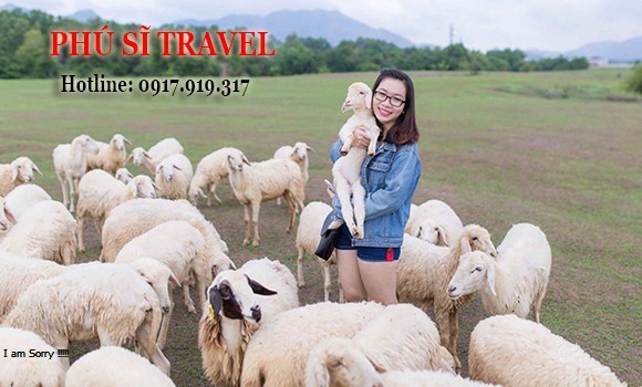 Tour Biển Lagi 1 Ngày